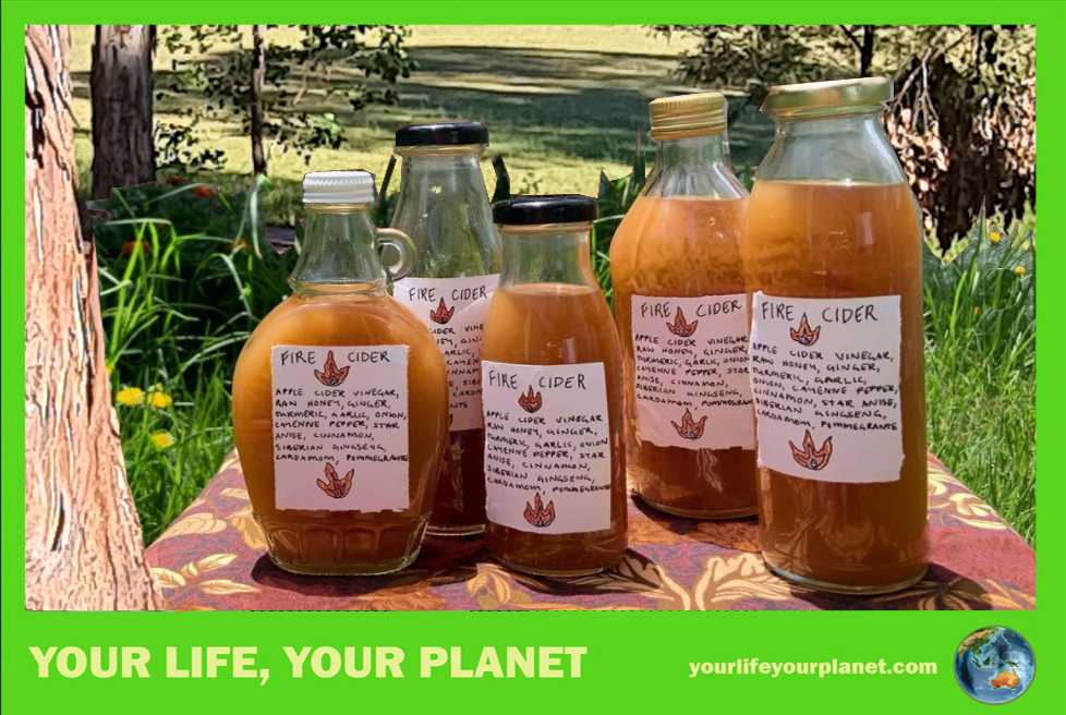 Fire Cider is a medicinal ferment