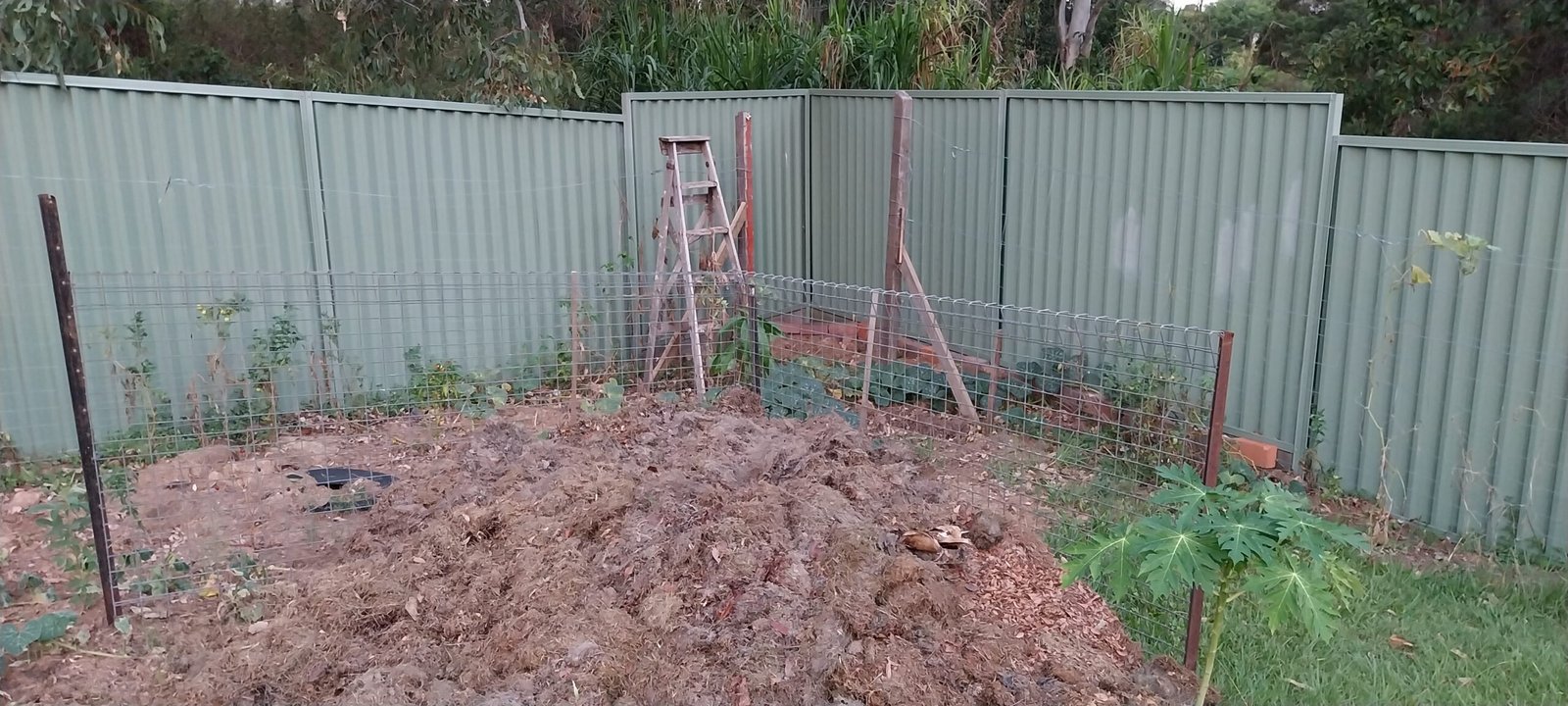 Grass clippings for compost