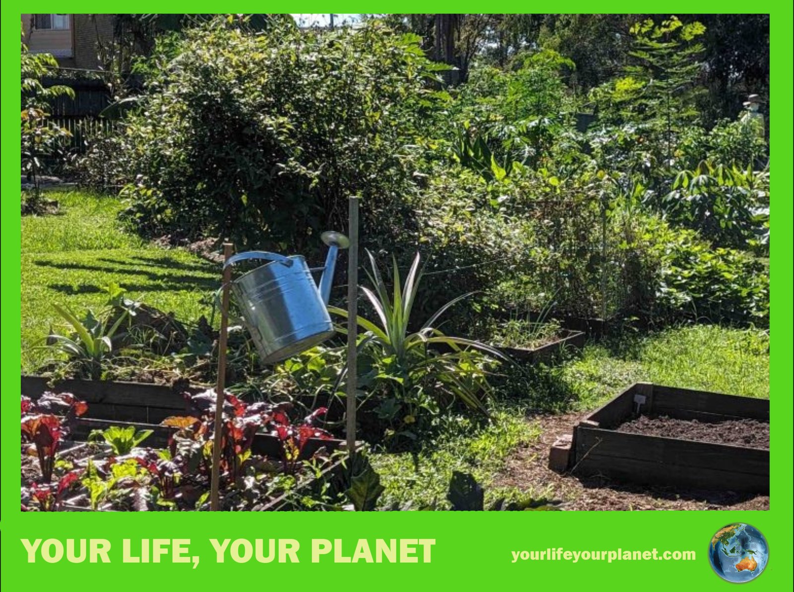 Green Agenda publishes troll story