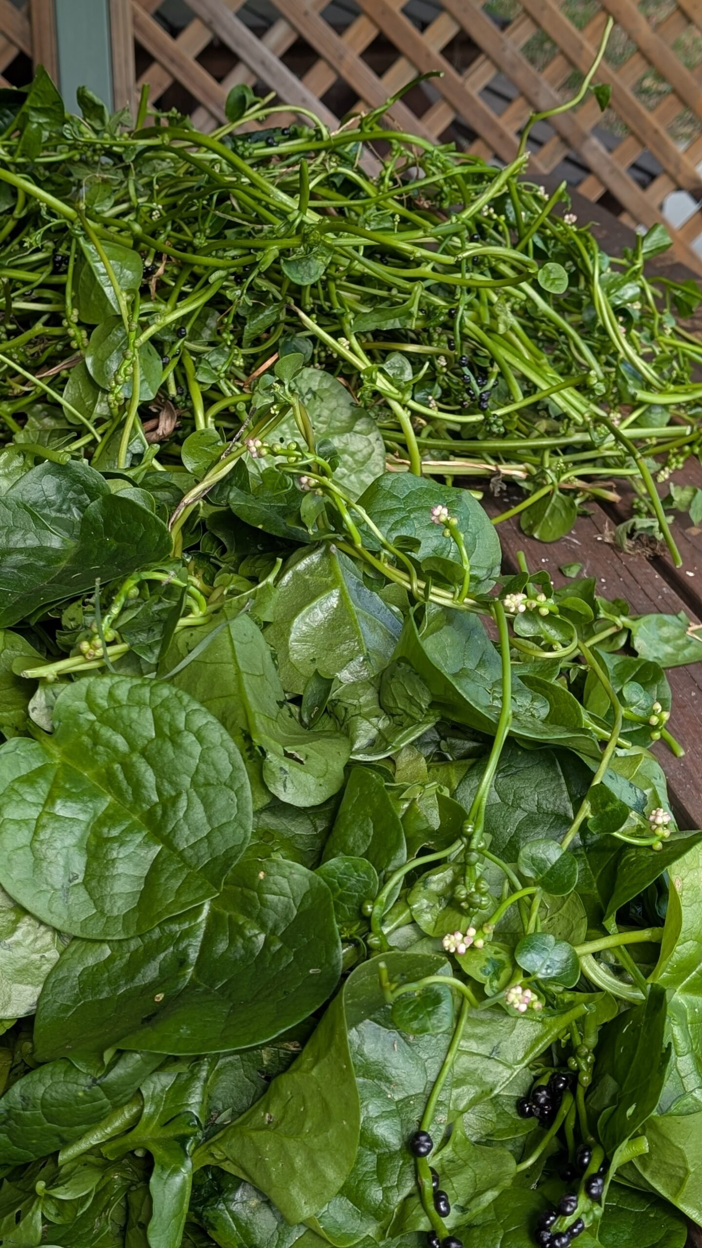 Separate the leaves from the stems