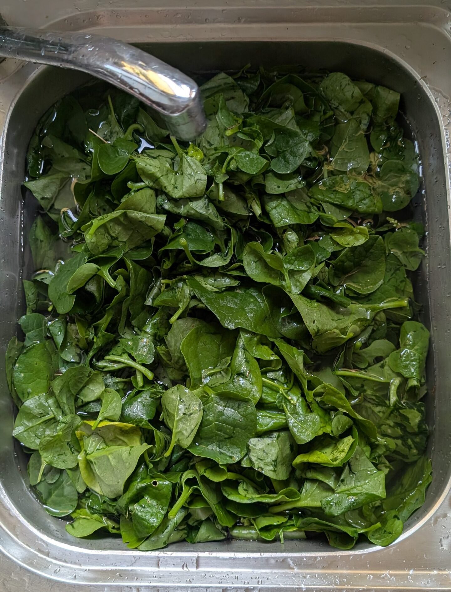 Wash in a sink with cold water, turning by hand and picking out inedible matter